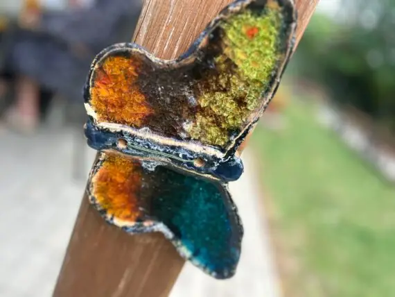 Obrázek WhatsApp, 2025-08-29 v 15.15.21_a4067be8