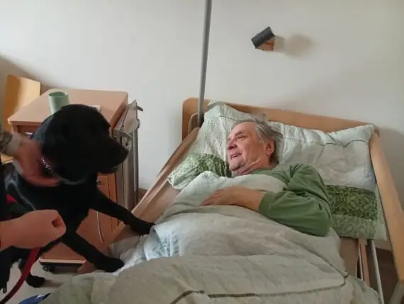 Obrázek WhatsApp, 2025-09-22 v 17.19.51_006c28f9