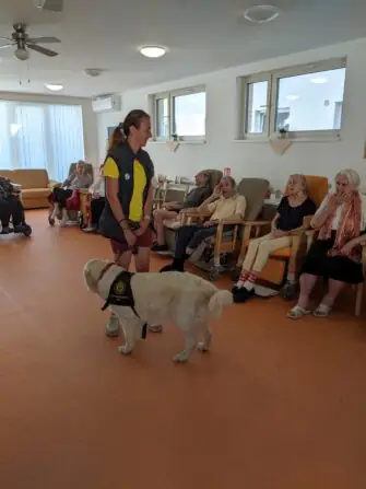 PXL_20250811_080040881