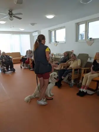 PXL_20250811_080119939