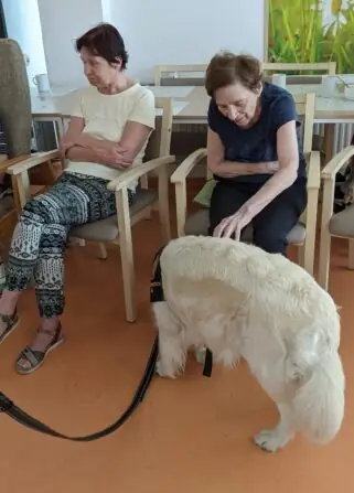 PXL_20250811_080156592