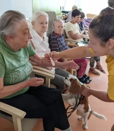 PXL_20250811_080434328