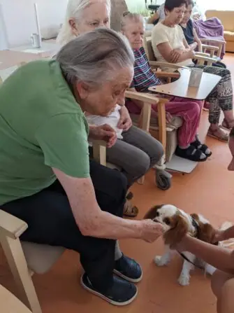 PXL_20250811_080448498