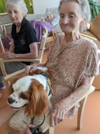 PXL_20250811_081545934