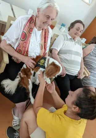 PXL_20250811_082934784