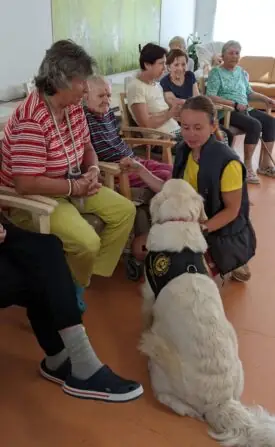 PXL_20250811_083920237