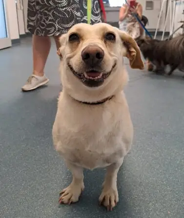 cd6a4027-865f-46cc-8d2e-32b74de7c138