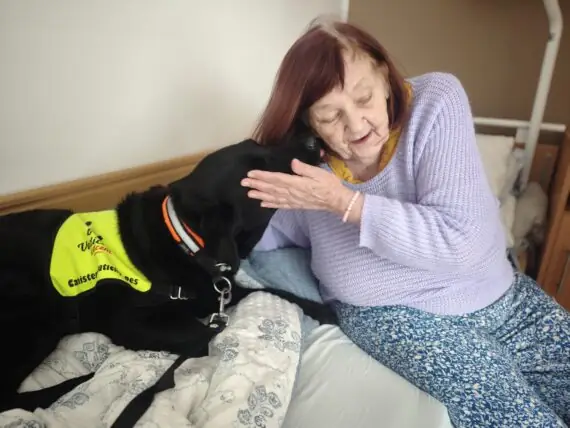 original-59376326-43F3-4DEB-ADF1-8A8DC91651FA