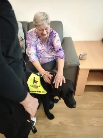 original-95D415EB-8AFF-4802-A8AD-66D862667E9A