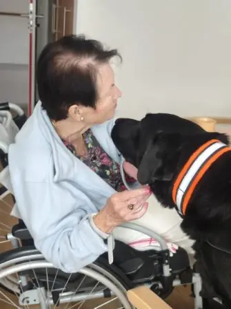 original-EDA2BECF-2538-4BD4-9851-93DED27F9AA4