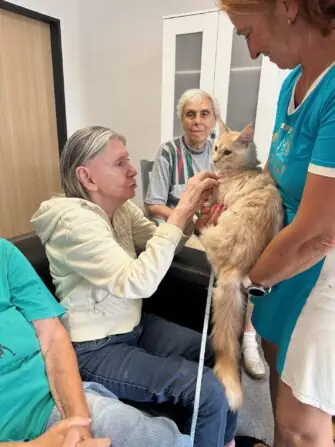 thumbnail_image0 (2)