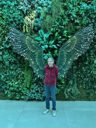 thumbnail_image0 (2)