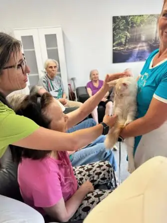 thumbnail_image1 (1)