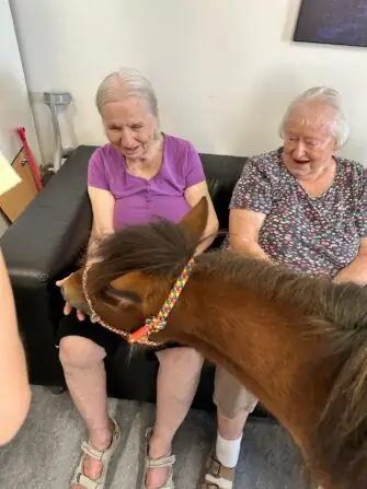 thumbnail_image2 (3)