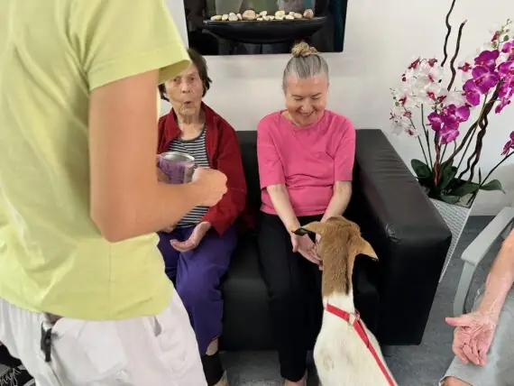 thumbnail_image3 (1)