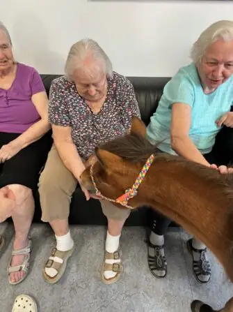 thumbnail_image3 (3)