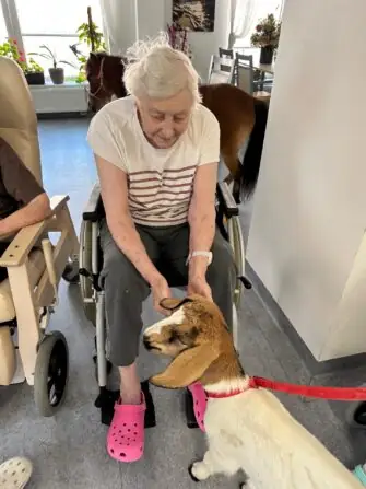 thumbnail_image4 (2)