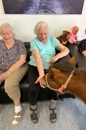 thumbnail_image4 (3)