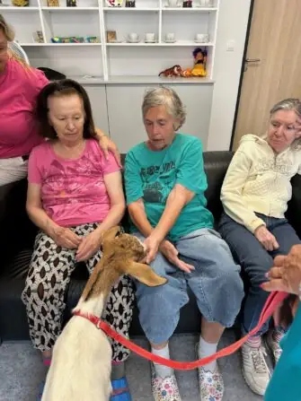 thumbnail_image5 (1)