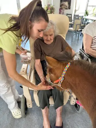 thumbnail_image7 (1)