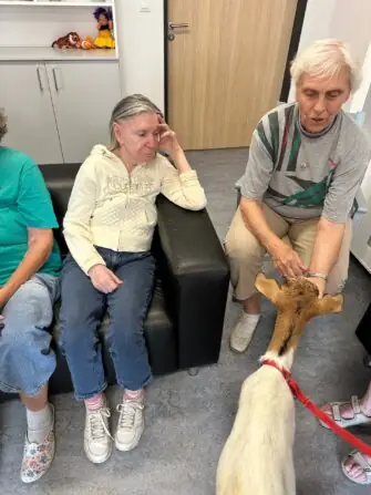 thumbnail_image7 (2)