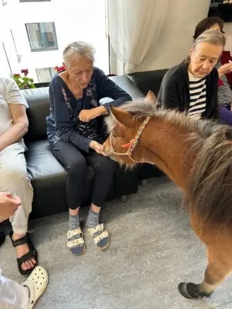 thumbnail_image8 (2)