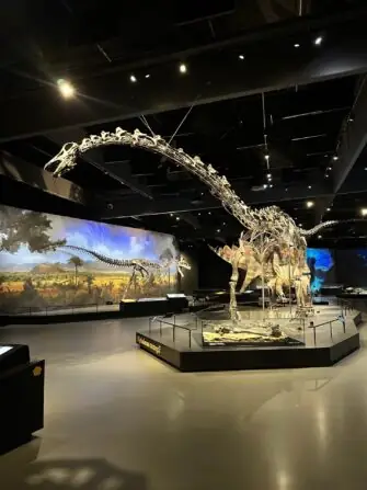 thumbnail_image9 (1)