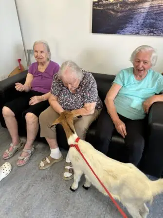 thumbnail_image9 (1)