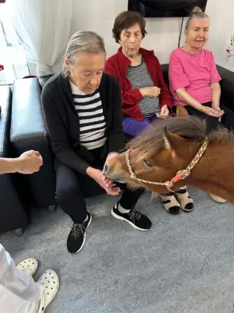 thumbnail_image9 (2)