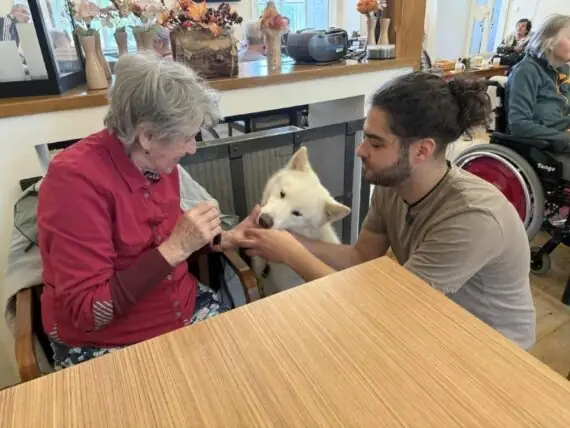 019c0aab-f873-4835-92df-e9d307982110