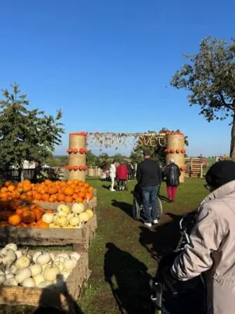 251505cd-cce4-44cc-b26a-ff9c955b4f5f