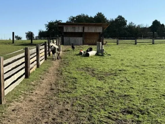 2790c70c-48a6-400f-b7d0-88f56d0fdafe