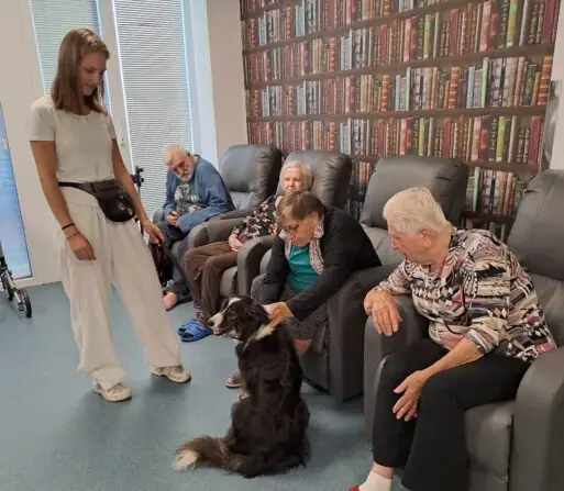 2a615a0a-1c45-45fb-9828-6aa0e22e49b6