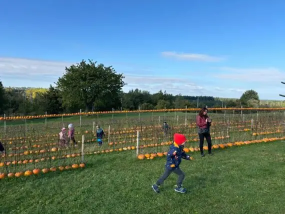 2e01fcb9-a4d5-4165-bb87-f67a1f1ed44b