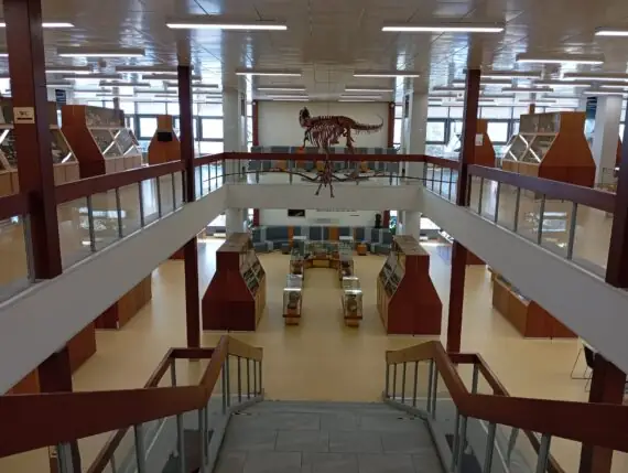 33d2ccab-c233-4079-a124-d24cf0b01170