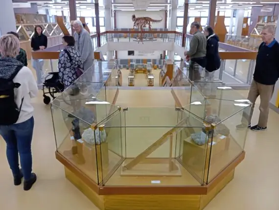 34ecf44a-948f-482c-be0a-9c134d7d7db4