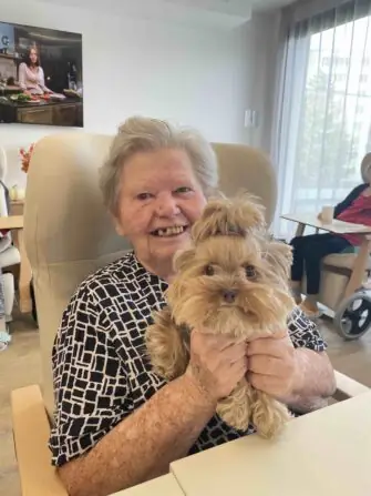 365a3085-f4af-4dad-b58f-d509ae176e04