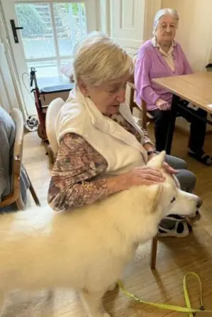 368eeb83-9411-46f8-9e3a-4ec961882584