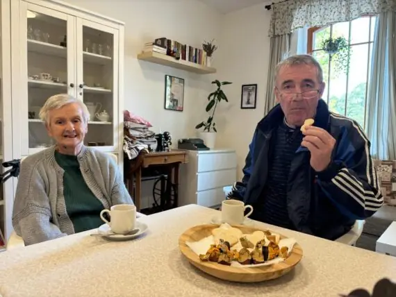 36bc260e-8754-4d65-8199-24fcd0cc4598