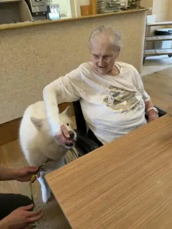 43882a2c-edb4-45a0-a2a4-f038dc82aeb3