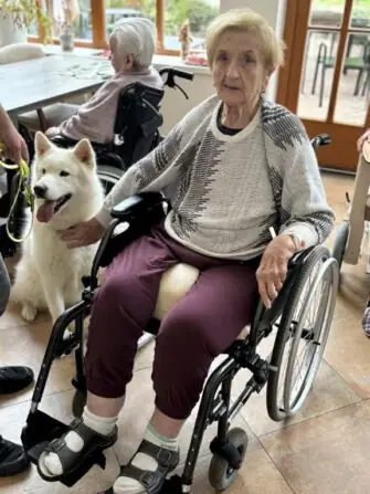 5323e1bd-b093-43d6-aeb5-2acfdaccf462