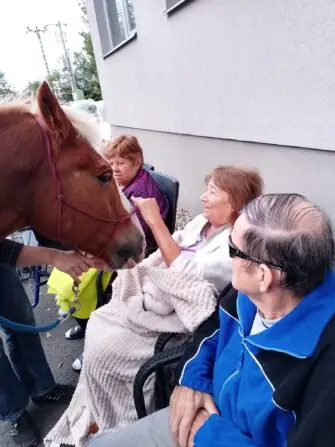 549406830_1220031993497166_1729747381679649476_n