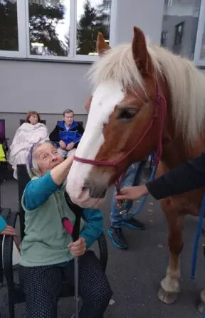 549601201_1220032233497142_4536732290276286099_n