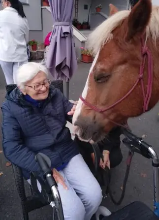 550423870_1220032283497137_4212679343647403005_n