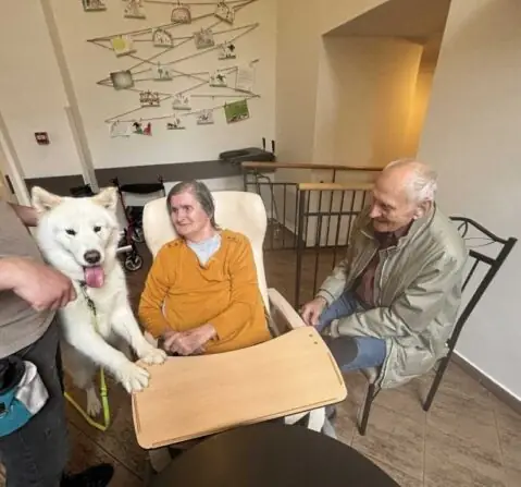 65548a33-14ac-46b0-aa7d-72083040f82f