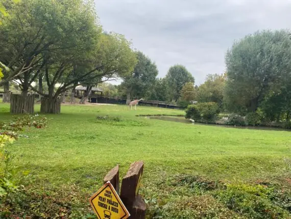 66b00bcd-36d1-4bb6-b391-cb4b5d63b0fb (2)