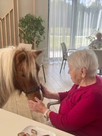 6d0a1b75-52dd-48b1-97de-d85f4720a5d2