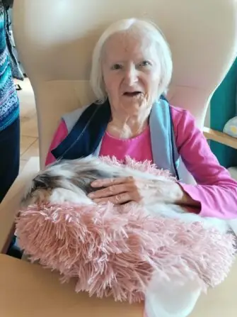 81a067b5-054b-44c6-852d-b113019e241f