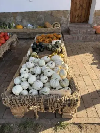 823aece5-0426-42cb-85d0-f74c48ac48ce