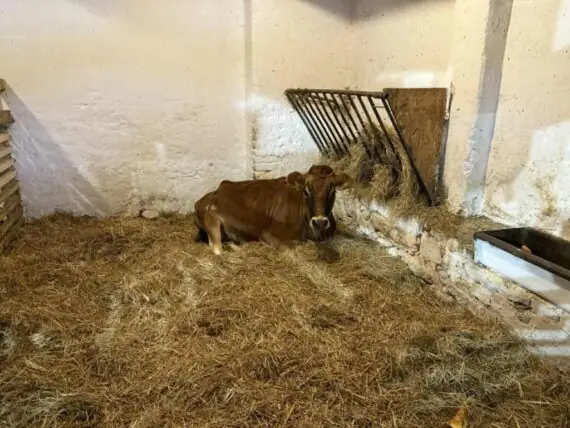 838239e0-27f1-4776-a28e-72316ba68db2